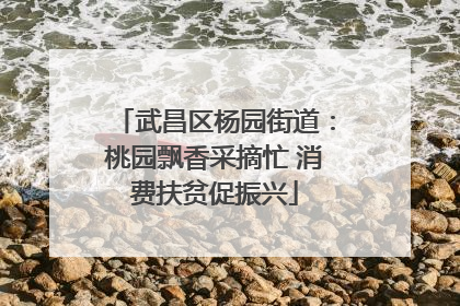 武昌区杨园街道：桃园飘香采摘忙 消费扶贫促振兴